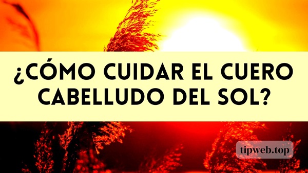 tips y consejos para cuidar el cuero cabelludo de manera adecuada